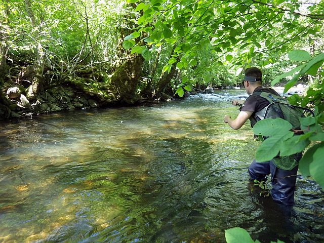 Reportage Brezons Cantal Avozetto Webzine Pêche Mouche