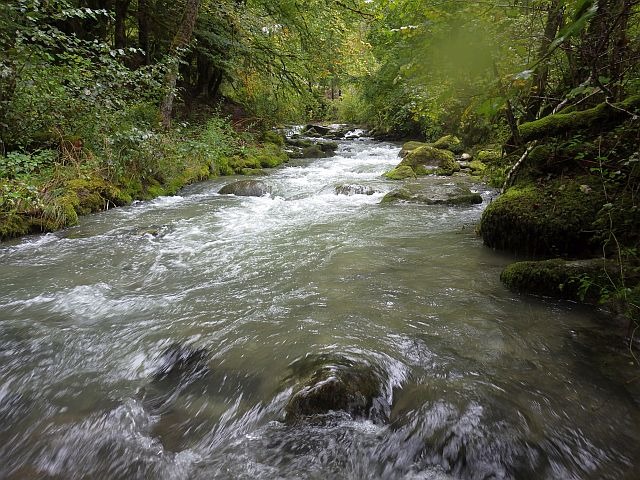 reportage rivière bronze haute-savoie