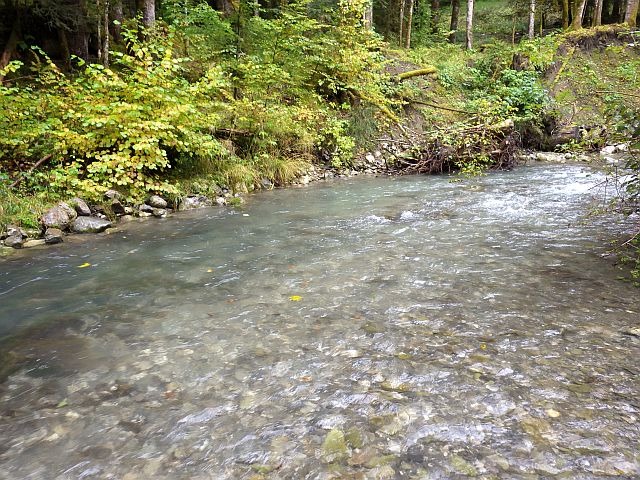 Reportage Foron du Reposoir Haute-Savoie Avozetto Webzine Pêche Mouche
