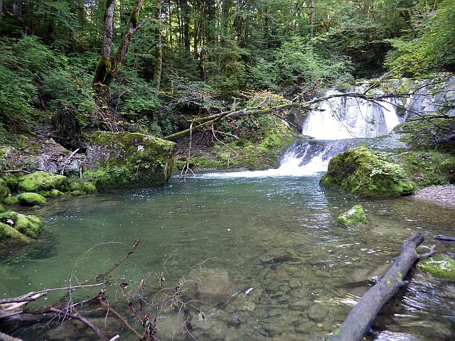 Reportage Nant d'Aillon dépt Savoie Avozetto Webzine Pêche Mouche