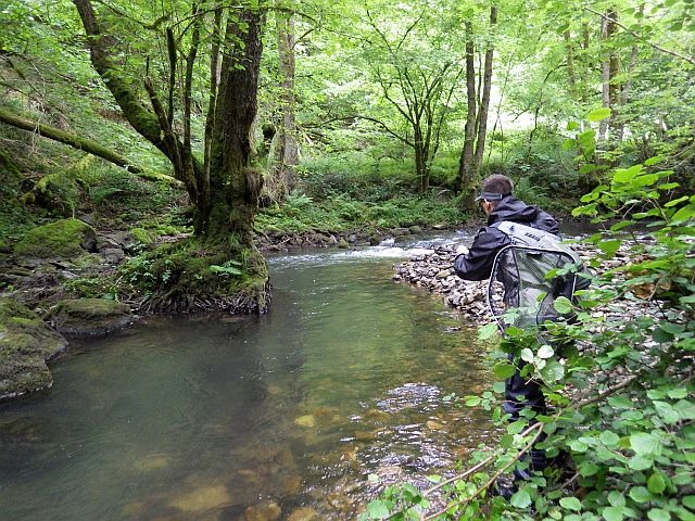 Reportage Rasthène Cantal Avozetto Webzine Pêche Mouche