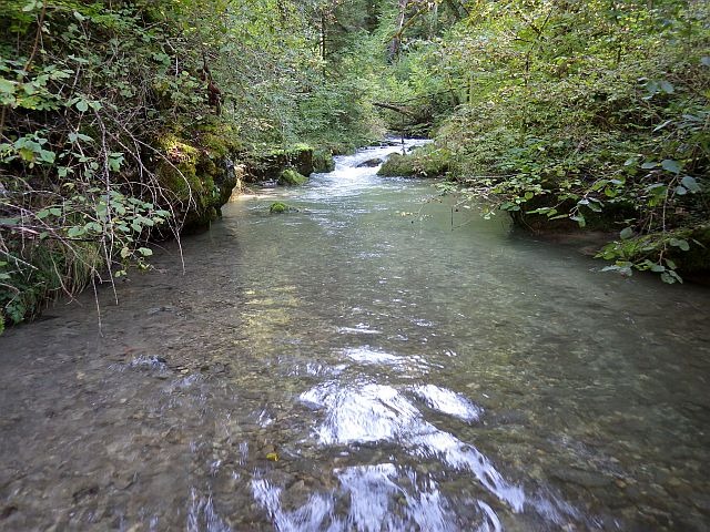 reportage Ugine Haute-savoie Avozetto Webzine Pêche Mouche