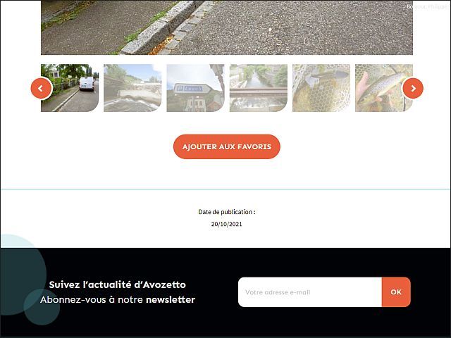 Favoris sur Avozetto, Webzine Pêche Mouche