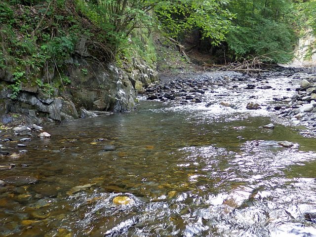 Reportage Lignarre département Isère Avozetto Webzine Pêche Mouche