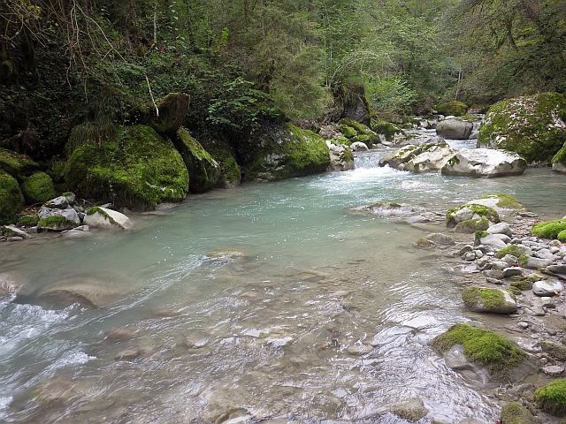 Reportage Pêche Mouche Risse département Haute-Savoie par Avozetto