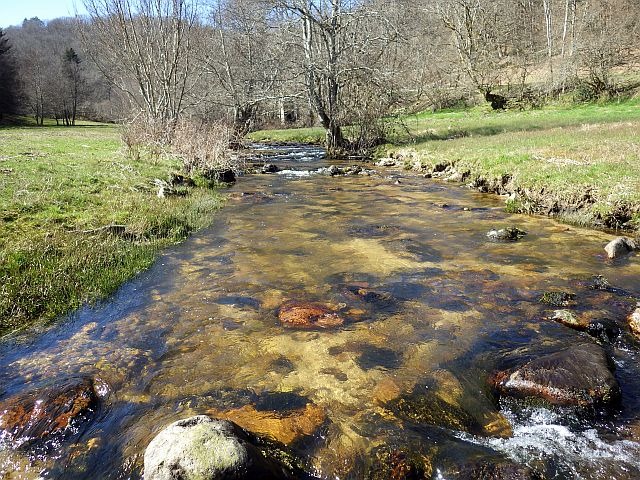 Reportage Canche département Saône-et-Loire Avozetto Webzine Pêche Mouche