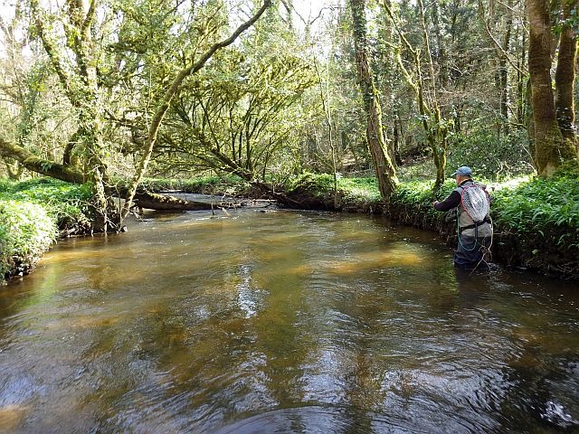 Reportage Douron département du Finistère Avozetto Webzine Pêche Mouche