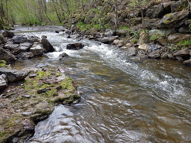 Reportage Faux département des Ardennes Avozetto Webzine Pêche Mouche