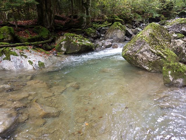 Reportage Foron de Taninges département Haute-Savoie Avozetto Webzine Pêche Mouche