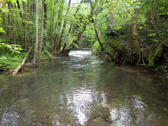 Reportage Urugne département Lozère 48 Avozetto Webzine Pêche Mouche