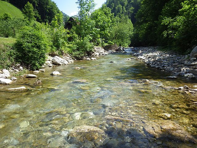 Reportage Tržiška Bistrica Slovénie Avozetto Webzine Pêche Mouche