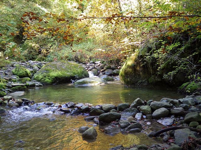 Reportage Foron de la Roche département de Haute-Savoie 74 Avozetto Webzine Pêche Mouche