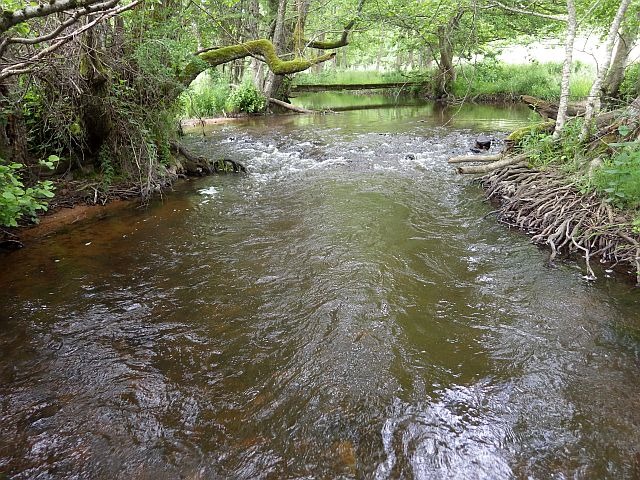 Reportage Ternin département Saöne-et-Loire 71 Avozetto Webzine Pêche Mouche