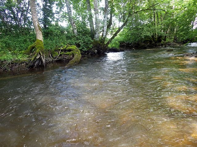 Reportage Celle département 71 Saône-et-Loire Avozetto Webzine Pêche Mouche