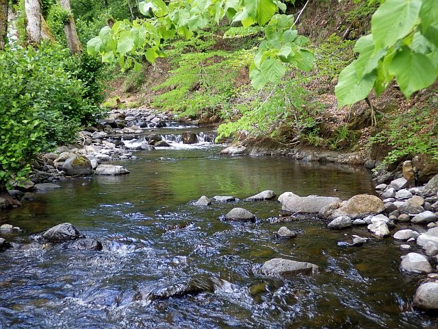 Reportage Hirondelle dépt Cantal Avozetto Webzine Pêche Mouche