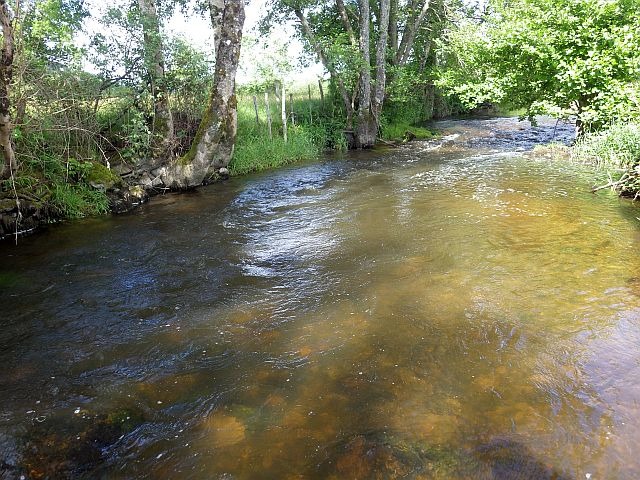 Reportage Méchet dépt 71 Saône-et-Loire Avozetto Webzine Pêche Mouche