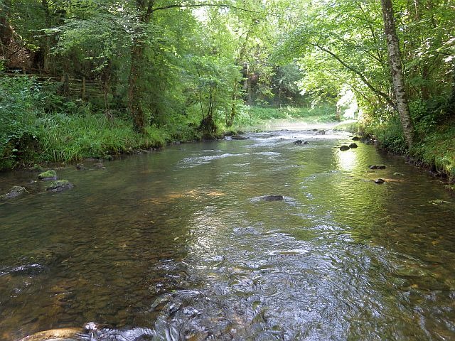 Reportage Arbas dépt 31 Haute-Garonne Avozetto Webzine Pêche Mouche