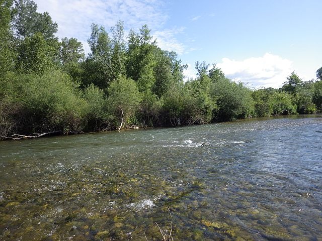 Reportage Bas-Verdon dépt du Var 83 Avozetto Webzine Pêche Mouche