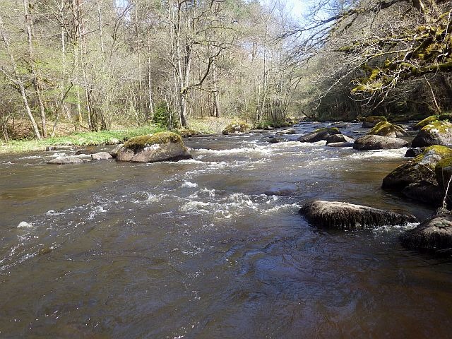 Reportage Diège dépt Corrèze 19 Avozetto Webzine Pêche Mouche