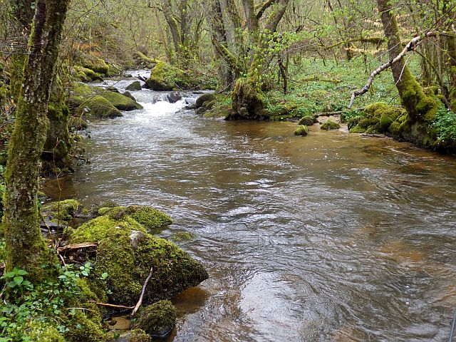 Reportage Lys département Corrèze 19 Avozetto Webzine Pêche Mouche