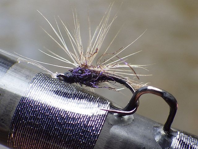 Montage chiro élastique Avozetto Webzine Pêche Mouche