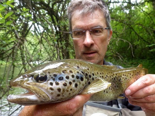 Reportage Drouvenant dépt Jura 39 Avozetto Webzine Pêche Mouche