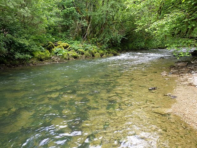 Reportage Lemme dépt Jura Avozetto Webzine Pêche Mouche