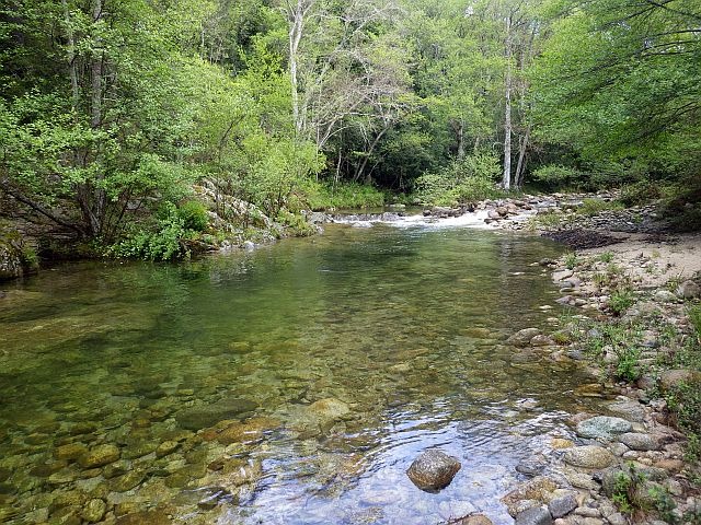 Reportage Saint-Antoine dépt Corse 20 Avozetto Webzine Pêche Mouche