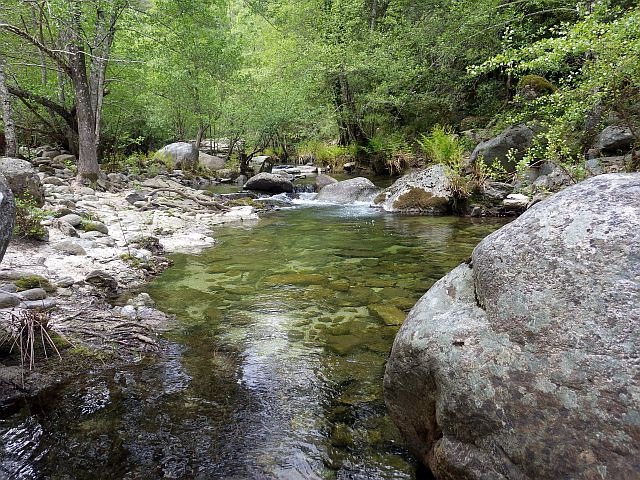 Reportage Varagno dépt Corse 20 Avozetto Webzine Pêche Mouche
