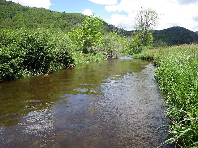 Reportage Beuletin Département de Haute-Saône 71 Avozetto Webzine Pêche Mouche