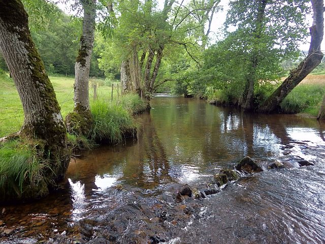 Reportage Boën dépt Loire 42 Avozetto Webzine Pêche Mouche