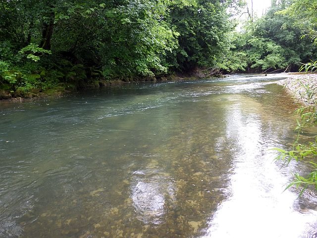 Reportage Seille dépt Jura 39 Avozetto Webzine Pêche Mouche