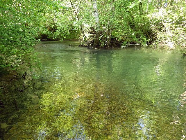 Reportage Sirène Dépt du Jura Avozetto Webzine Pêche Mouche