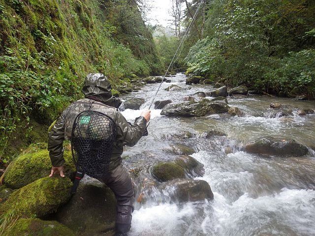 Reportage Foron de Mieussy Dépt Haute-Savoie 74 Avozetto Webzine Pêche Mouche