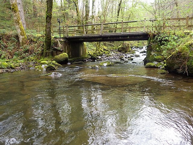 Reportage Aspre dépt Cantal 15 Avozetto Webzine Pêche Mouche