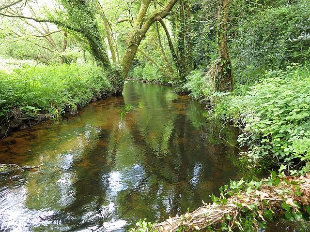 Reportage Brandifout dépt Morbihan 56 Avozetto Webzine Pêche Mouche