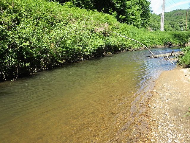 Reportage Souvigne dépt Corrèze 19 Avozetto Webzine Pêche Mouche