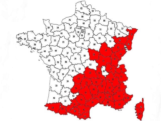 Article les Truites Zébrées de France Avozetto Webzine Pêche Mouche