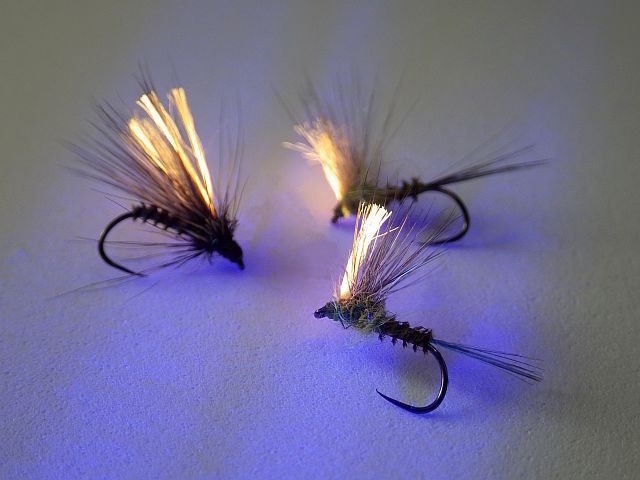 Voyant Glo-Brite sur mouche élastique Avozetto Webzine Pêche Mouche