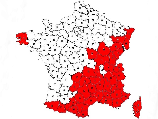 Article les Truites Zébrées de France Avozetto Webzine Pêche Mouche