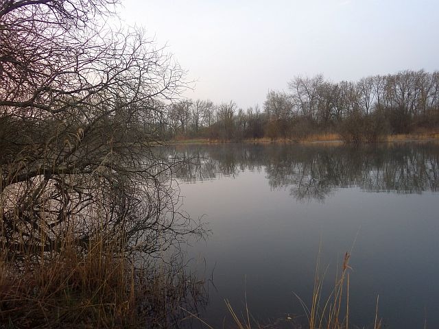 Reportage Réservoir Lac des Libellules dépt du Cher France Avozetto Webzine Pêche Mouche