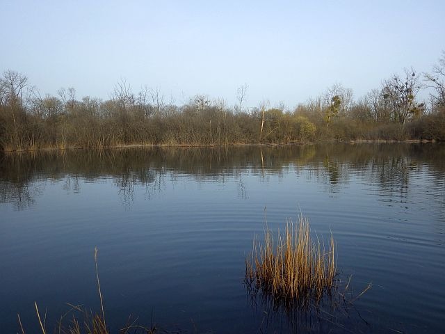 Reportage Réservoir Lac des Libellules dépt du Cher France Avozetto Webzine Pêche Mouche