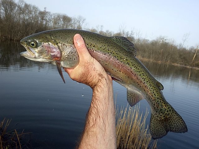 Reportage Réservoir Lac des Libellules dépt du Cher France Avozetto Webzine Pêche Mouche